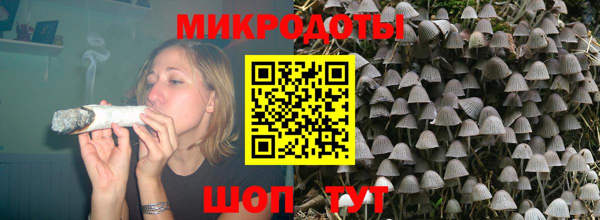 Псилоцибиновые грибы Psilocybine cubensis Белгород