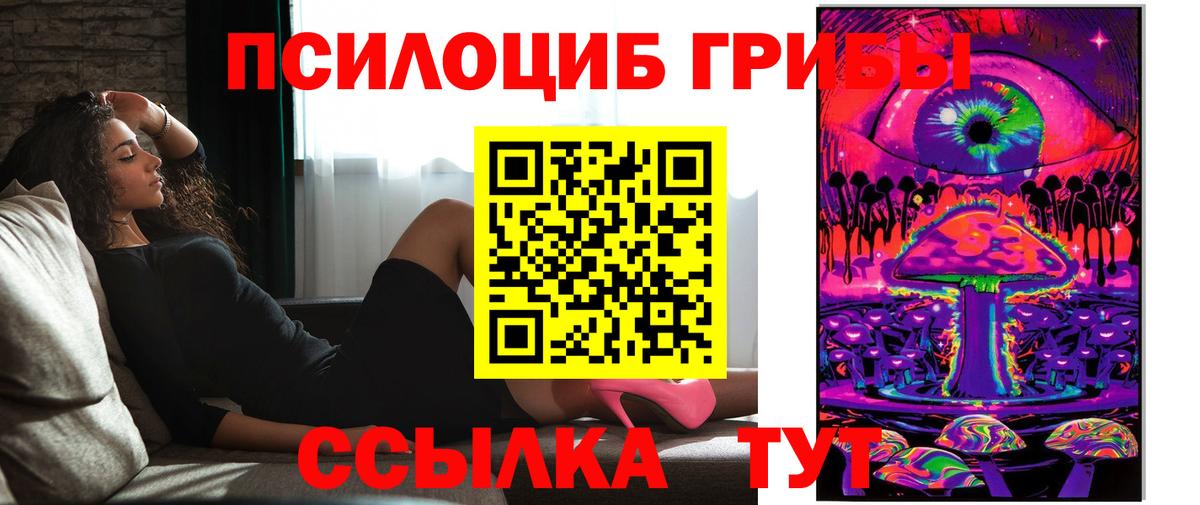 Белгород  Псилоцибиновые грибы Cubensis  Вход с VPN 